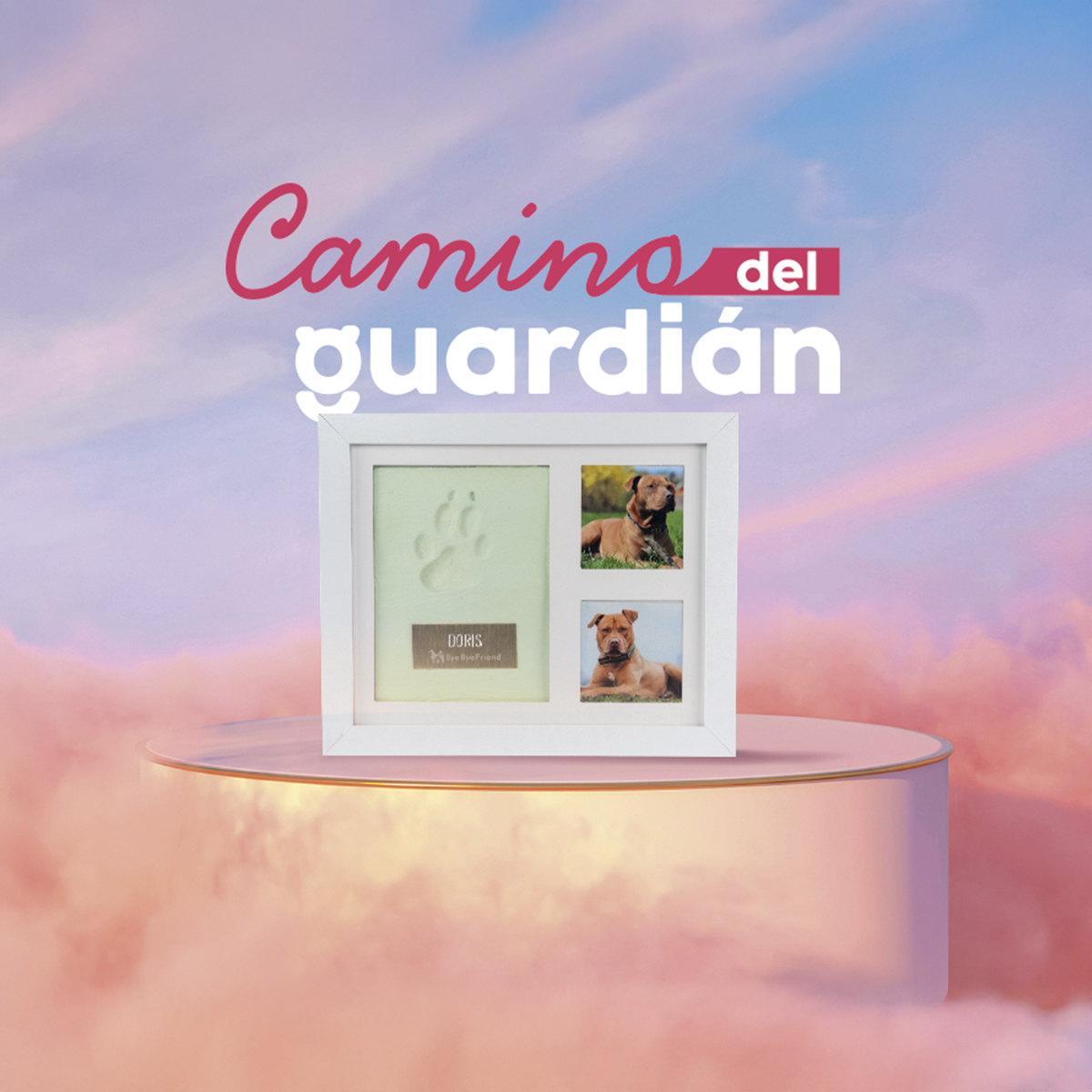 Recuerdos de un Guardián