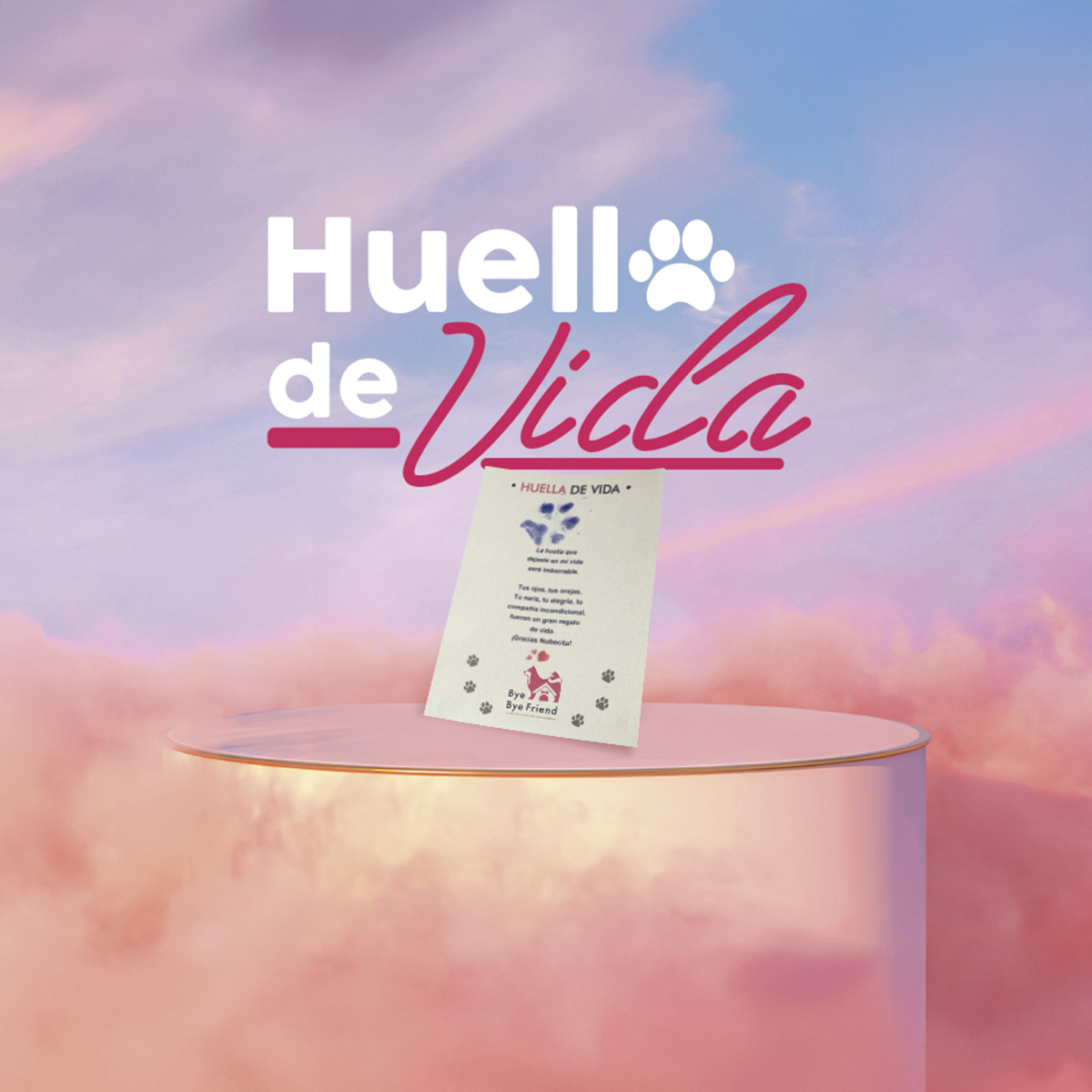 Huella de Vida