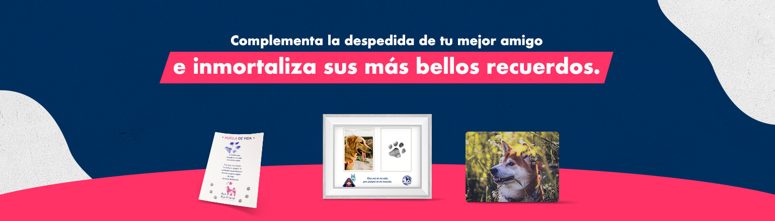 Despedida Futuro