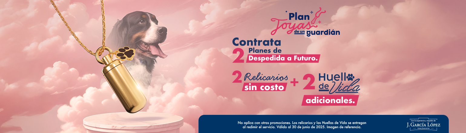 Despedida Futuro